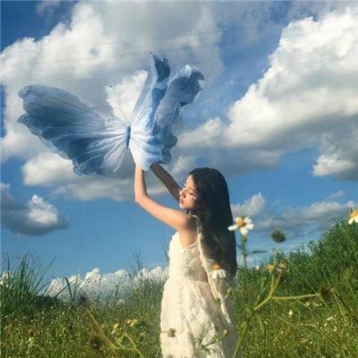 北风和太阳的法庭